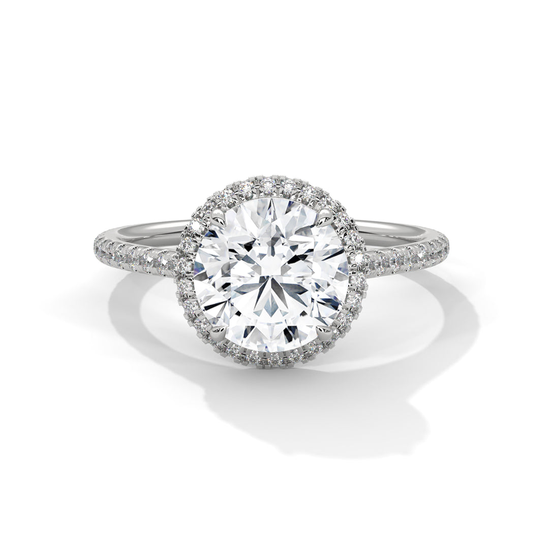 Halo Allure