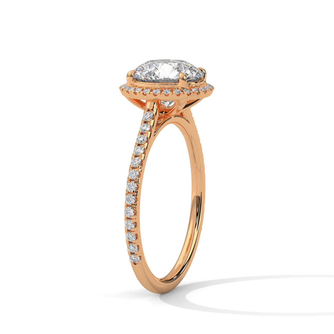 Halo Allure