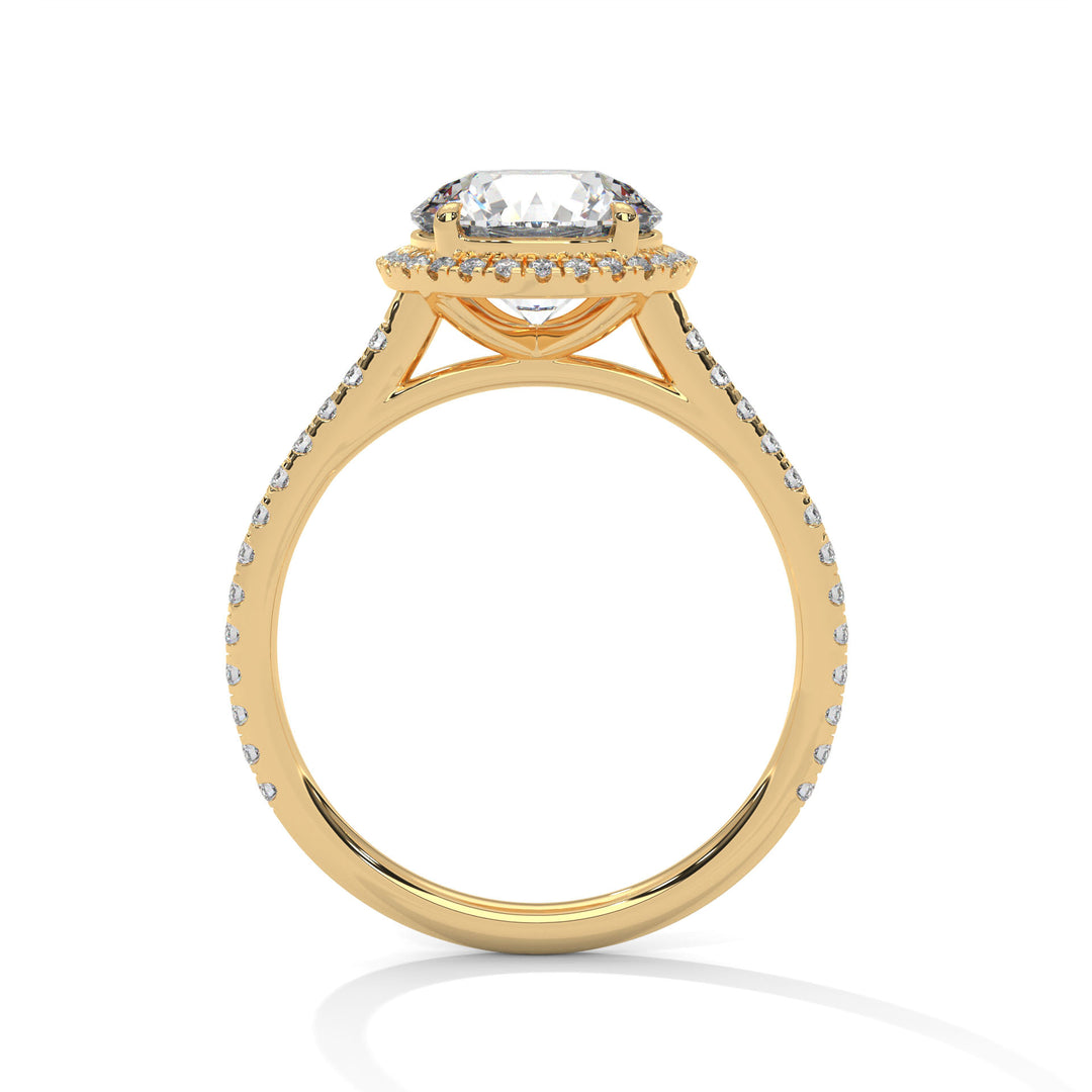 Halo Allure