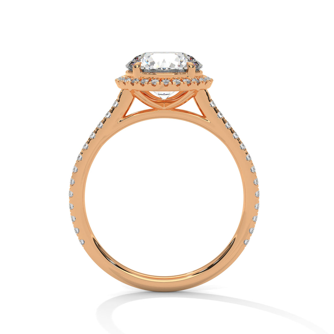 Halo Allure