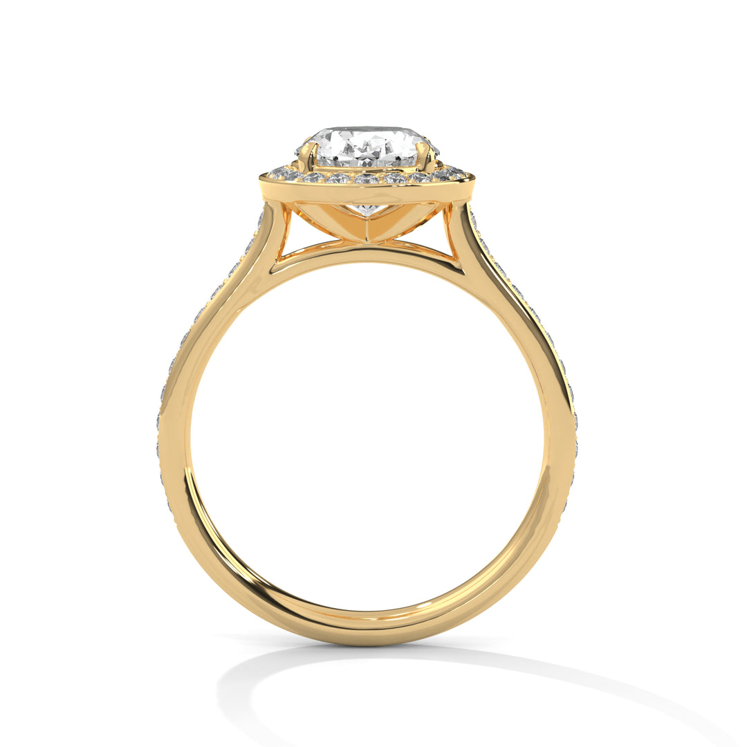 Luminara Halo
